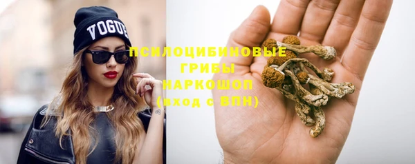 дмт Надым