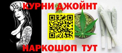 кокс Гатчина