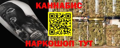 кокс Гатчина