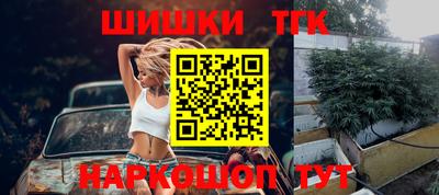 кокс Гатчина