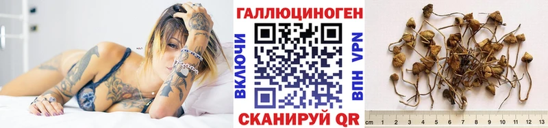 OMG зеркало  Саки  Псилоцибиновые грибы Cubensis 