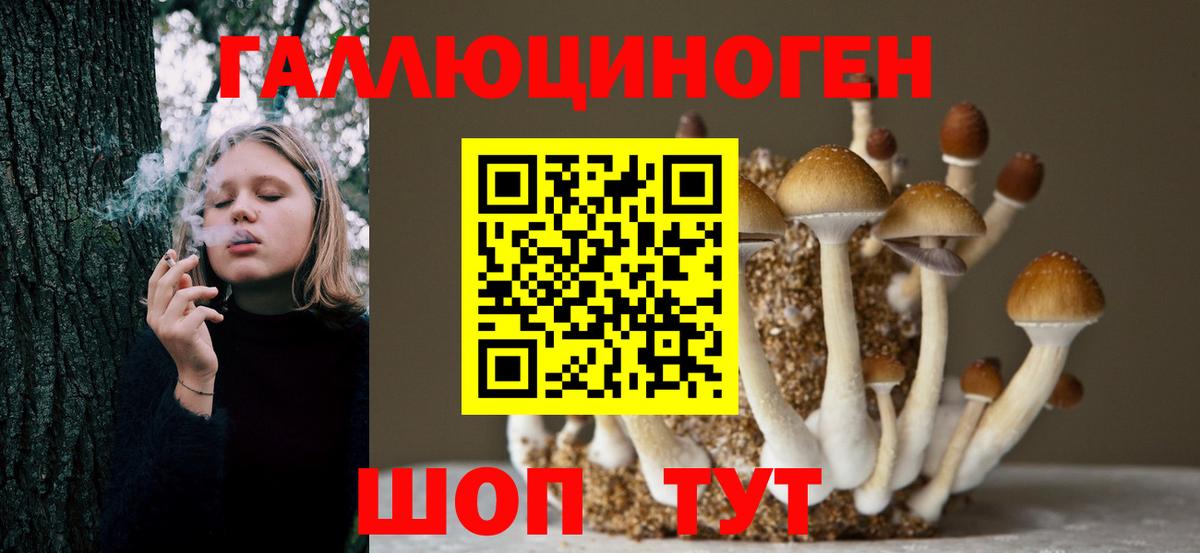 Галлюциногенные грибы Psilocybe Саки