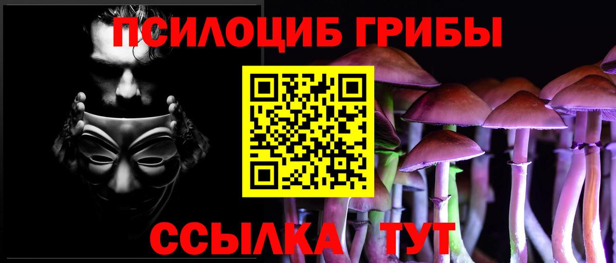 Галлюциногенные грибы Psilocybine cubensis  Саки 